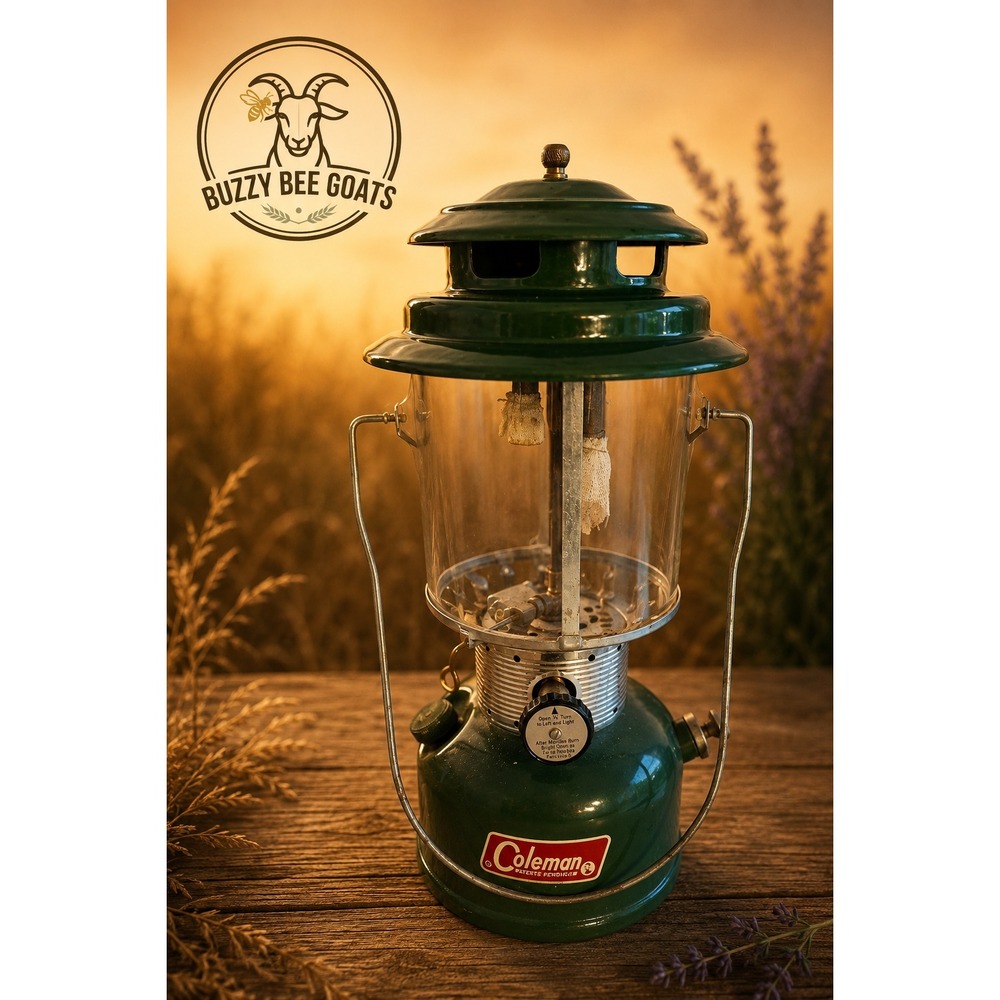 VINTAGE COLEMAN 220F DOUBLE MANTLE LANTERN GREEN FOR PARTS OR REPAIR USA
